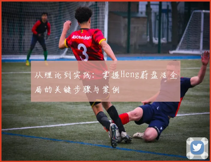 从理论到实践：掌握Heng蔚盘活全局的关键步骤与案例