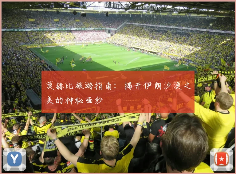 莫赫比旅游指南:揭开伊朗沙漠之美的神秘面纱